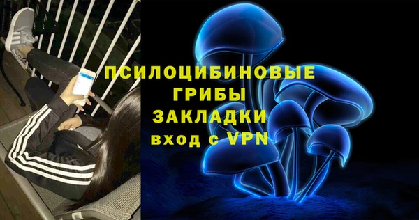 прущая мука Алексин