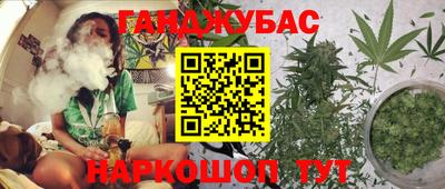 прущие грибы Мариинск