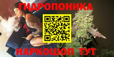 прущие грибы Мариинск
