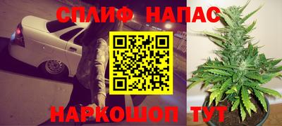 прущие грибы Мариинск