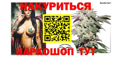 прущие крисы Малгобек