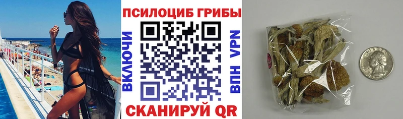 Псилоцибиновые грибы прущие грибы  где купить наркотик  Знаменск 