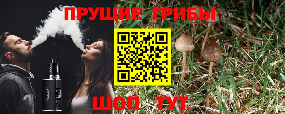 Галлюциногенные грибы мицелий Знаменск