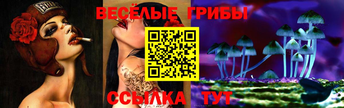 Знаменск  Псилоцибиновые грибы Psilocybine cubensis  Галлюциногенные грибы Psilocybine cubensis  Вход с VPN 