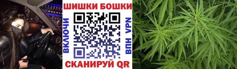 Каннабис OG Kush Знаменск